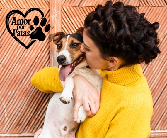 Amor por Patas: cuidado e resgate para quem mais precisa